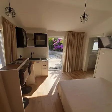 Little Olive Tree House